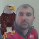 ���������� ������, ���� ������� ���, 38 ���, ������������ ��� ������, ����� � ���������