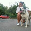 ���������� ����, ���� ������� ��������, 31 ���, ������������ ��� ������, ����� � ���������, c�������� ���������