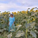 ���������� ������, ���� ������� �����, 45 ���, ������������ ��� c�������� ���������