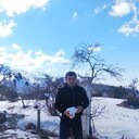 ���������� �������, ���� ������� Alimoff, 36 ���, ������������ ��� ������, ����� � ���������, c�������� ���������