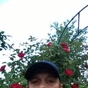 ���������� ������, ���� ������� �������, 48 ���, ������������ ��� ������, ����� � ���������, c�������� ���������