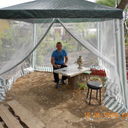 ���������� ������, ���� ������� �������, 46 ���, ������������ ��� ����� � ���������, c�������� ���������