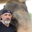  Kiskoros,   Stefano, 50 ,   ,   