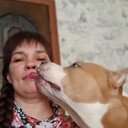 ���������� ����, ���� ������� ����, 49 ���, ������������ ��� ������, ����� � ���������