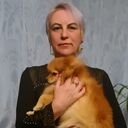 ���������� �������, ���� ������� ������, 50 ���, ������������ ��� c�������� ���������, ���������