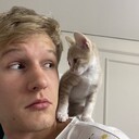 ���������� �������, ���� ����� �������, 18 ���, ������������ ��� ������, ����� � ���������