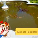  ,   Aleksandr, 46 ,   