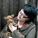 ���������� �������, ���� ������� �����, 52 ����, ������������ ��� ������, ����� � ���������, c�������� ���������