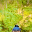 ���������� �����, ���� ������� �����, 38 ���, ������������ ��� ������, ����� � ���������, c�������� ���������