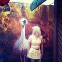 ���������� ������ ��������, ���� ������� ���, 53 ����, ������������ ��� ������, ����� � ���������, c�������� ���������