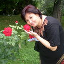  ,   , 53 ,   ,   , c 