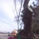 ���������� �����������, ���� ������� �����, 65 ���, ������������ ��� ������, ����� � ���������, c�������� ���������