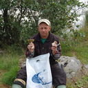 ���������� �����-���������, ���� ������� Avm50, 65 ���, ������������ ��� ����� � ���������, c�������� ���������