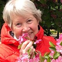 ���������� ������, ���� ������� ����, 72 ����, ������������ ��� ������, ����� � ���������, c�������� ���������, ���������