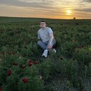 ���������� ����������, ���� ����� ���������, 24 ����, ������������ ��� ������, ����� � ���������