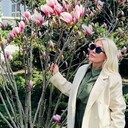 ���������� �����������, ���� ������� �����, 46 ���, ������������ ��� c�������� ���������