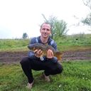 ���������� ������, ���� ������� ������, 36 ���, ������������ ��� ������, ����� � ���������, c�������� ���������