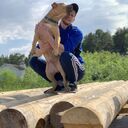 ���������� ������, ���� ������� ������, 31 ���, ������������ ��� ������, ����� � ���������