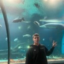 ���������� ������, ���� ������� �����, 26 ���, ������������ ��� ������, ����� � ���������