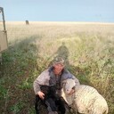 ���������� ���������, ���� ������� ������, 48 ���, ������������ ��� c�������� ���������