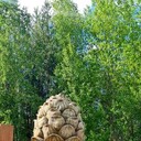 ���������� ������, ���� ������� Alexey, 33 ����, ������������ ��� ����� � ���������, c�������� ���������