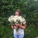  ,   , 33 ,     , c 