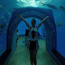 ���������� �������������-����������, ���� ������� �����, 38 ���, ������������ ��� ������, ����� � ���������