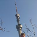  ,   Alex, 38 ,   ,   , c 