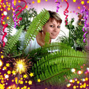  ,   , 52 ,   ,   