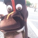 ���������� �����-���������, ���� ������� ����, 38 ���, ������������ ��� ������, ����� � ���������, c�������� ���������