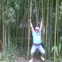 ���������� ������������, ���� ������� ��������, 43 ����, ������������ ��� ����� � ���������, c�������� ���������