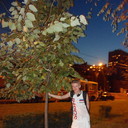  ,   , 41 ,   ,   , c 