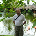  ,   , 53 ,     , c 