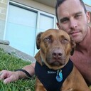 ���������� ���������, ���� ������� �����, 37 ���, ������������ ��� ������, ����� � ���������, c�������� ���������, ���������