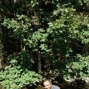  ,   Xaladdin, 45 ,   ,   , c 