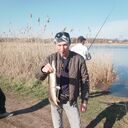 ���������� ������-��-����, ���� ������� ����, 48 ���, ������������ ��� ����� � ���������, c�������� ���������