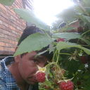  ,   , 52 ,  