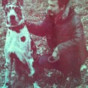  ,   , 95 ,  