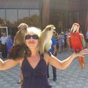 ���������� ���������, ���� ������� �������, 45 ���, ������������ 