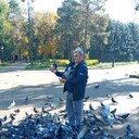  ,   , 55 ,   ,   