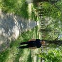 ���������� ������, ���� ������� ������, 39 ���, ������������ ��� ������, ����� � ���������