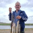 ���������� ������������, ���� ������� ���������, 56 ���, ������������ ��� ����� � ���������, c�������� ���������