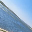 ���������� ������, ���� ������� ������, 38 ���, ������������ ��� ����� � ���������, c�������� ���������