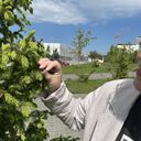 ���������� ���������, ���� ������� �������, 54 ����, ������������ ��� ������, ����� � ���������