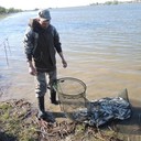 ���������� �������, ���� ������� ���������, 41 ���, ������������ ��� ������, ����� � ���������, c�������� ���������