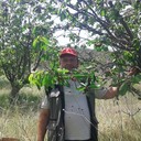  ,   , 55 ,     , c 
