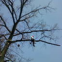 ���������� ����, ���� ������� �������, 44 ����, ������������ ��� ����� � ���������, c�������� ���������