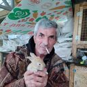 ���������� �����������, ���� ������� �������, 53 ����, ������������ ��� ������, ����� � ���������