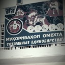 ���������� ���������, ���� ������� �������, 42 ����, ������������ ��� ������, ����� � ���������, c�������� ���������