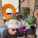 ���������� ����, ���� ������� �������, 28 ���, ������������ ��� ������, ����� � ���������